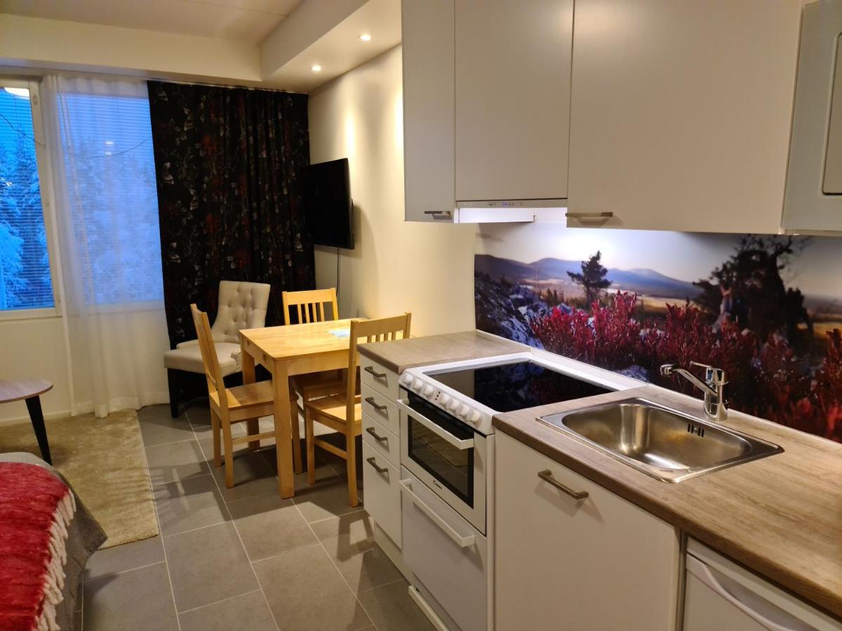 Levibooking Lost In Levi Apt 305 Kittilä エクステリア 写真